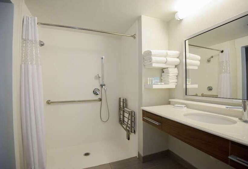 장애인을 위한 스탠다드 룸, Hampton Inn Lakeland
