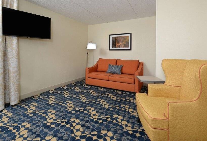 Номер Стандарт, Hampton Inn Roxboro