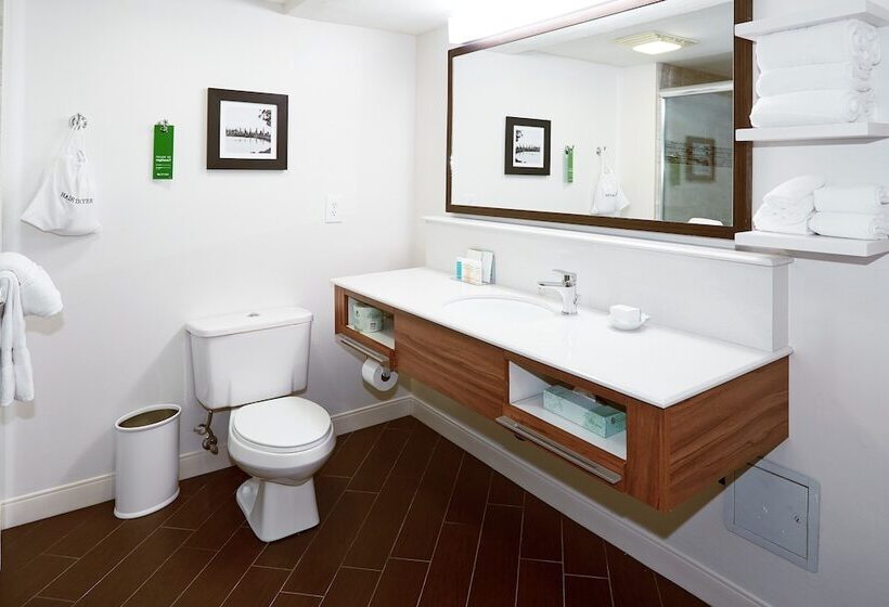 Номер Стандарт, Hampton Inn Salt Lake City Central