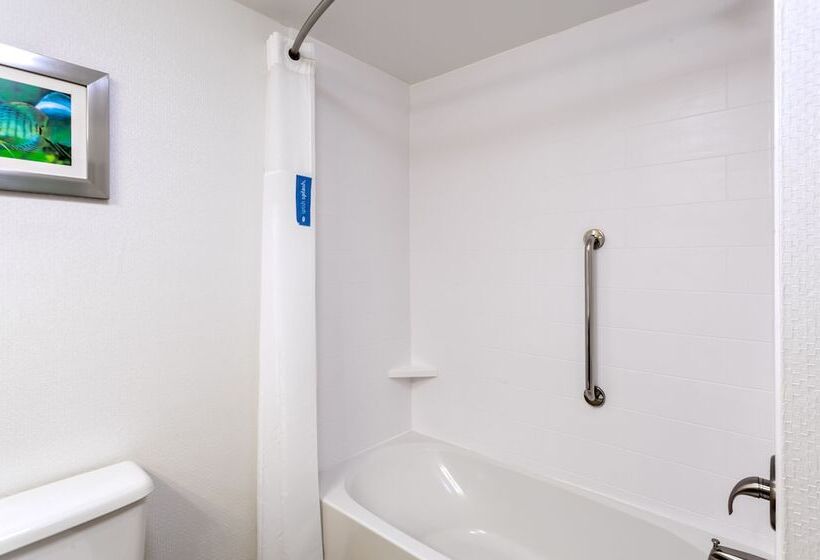 Quarto Estandar, Hampton Inn Spring Hill