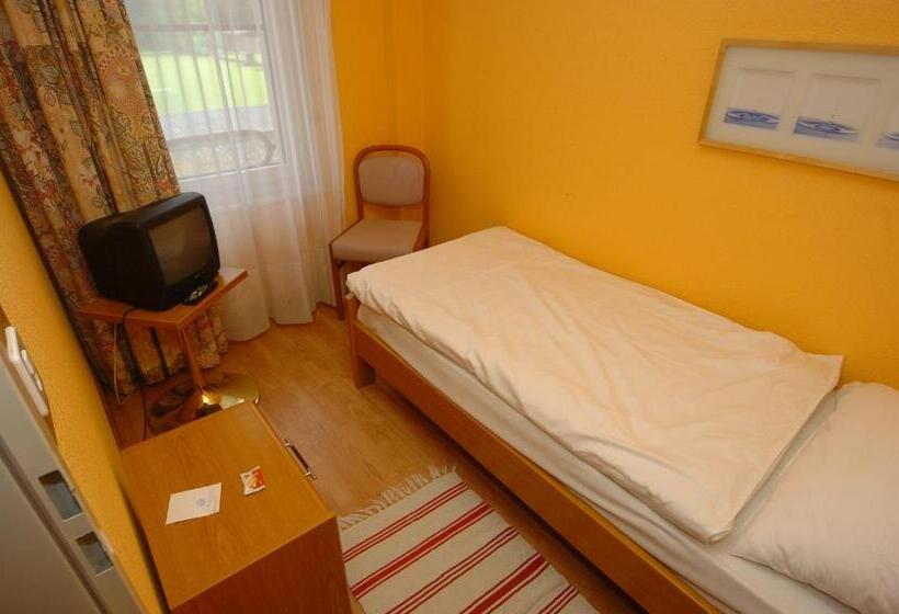 Standard Einzelzimmer mit Balkon, Le Cedre