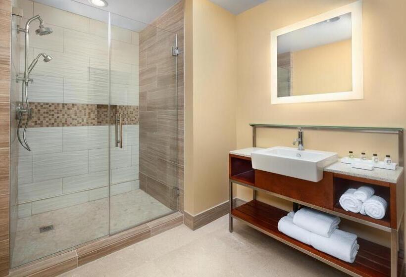 اتاق لوکس با تخت بزرگ, Movie Colony Hotel   Adults Only