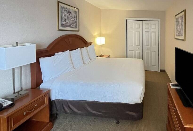Люкс, Smart Suites, Ascend Hotel Collection