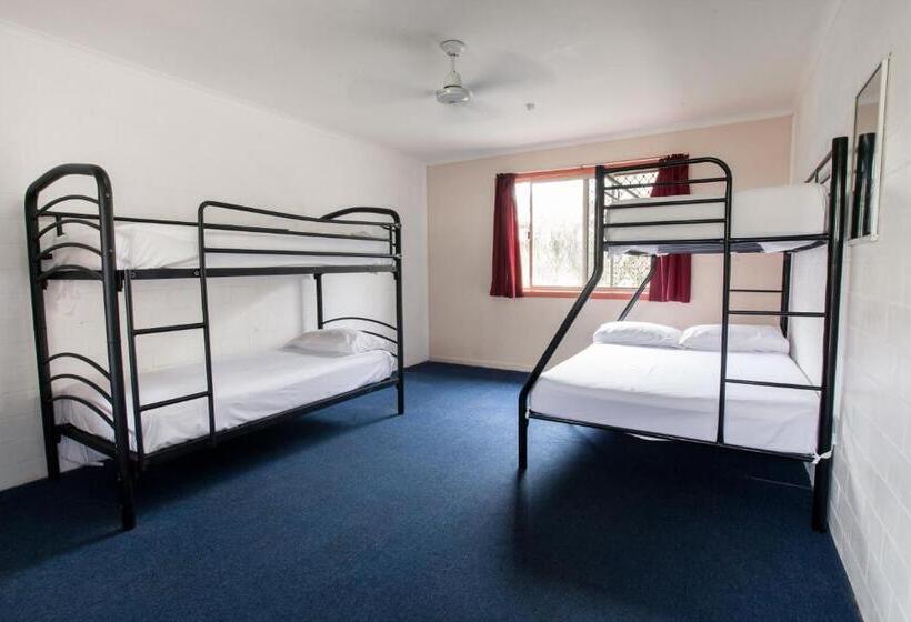 تختخواب در اتاق مشترک, Backpackers Inn On The Beach