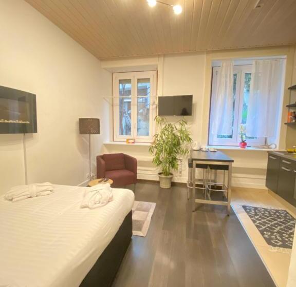 Студия Стандарт, B&b Guest House Du Lac