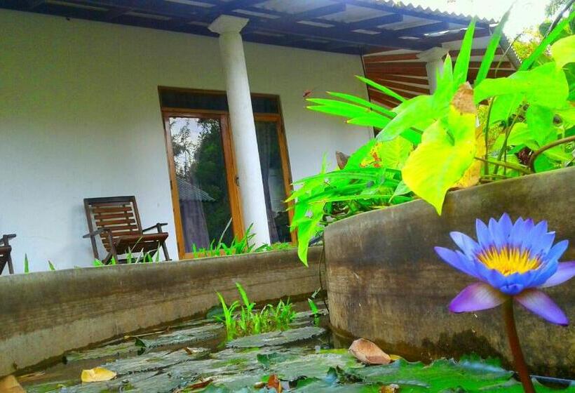 חדר משפחתי, River Retreat Sigiriya