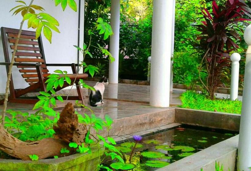 חדר סטנדרט, River Retreat Sigiriya