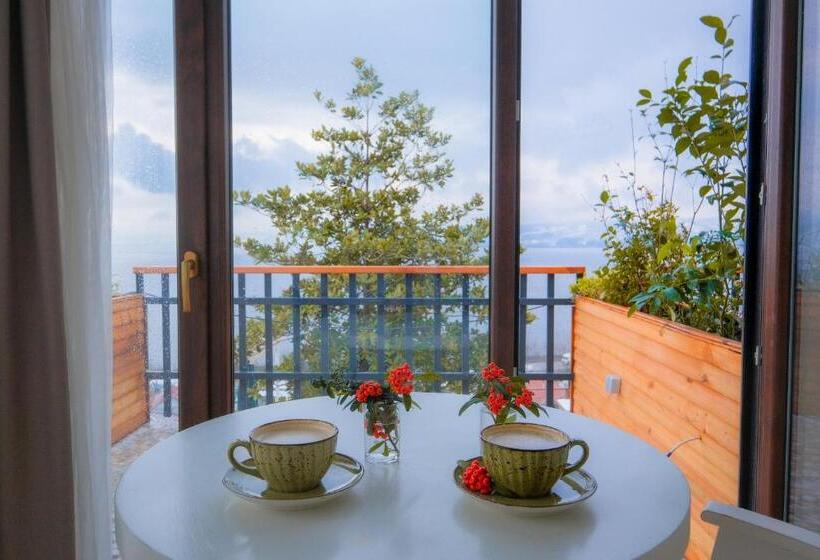 Номер Basic, Sapanca Villa Suite Boutique