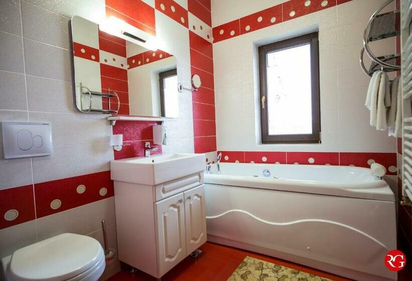 Стандартный Номер Кровать Кинг, Pensiunea Royal Spa