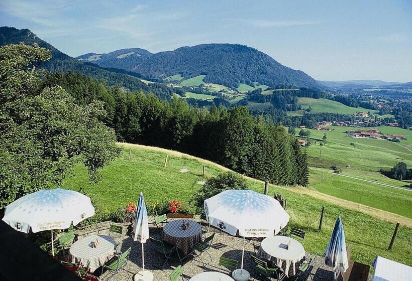 Номер Стандарт с Балконом, Berggasthaus Weingarten