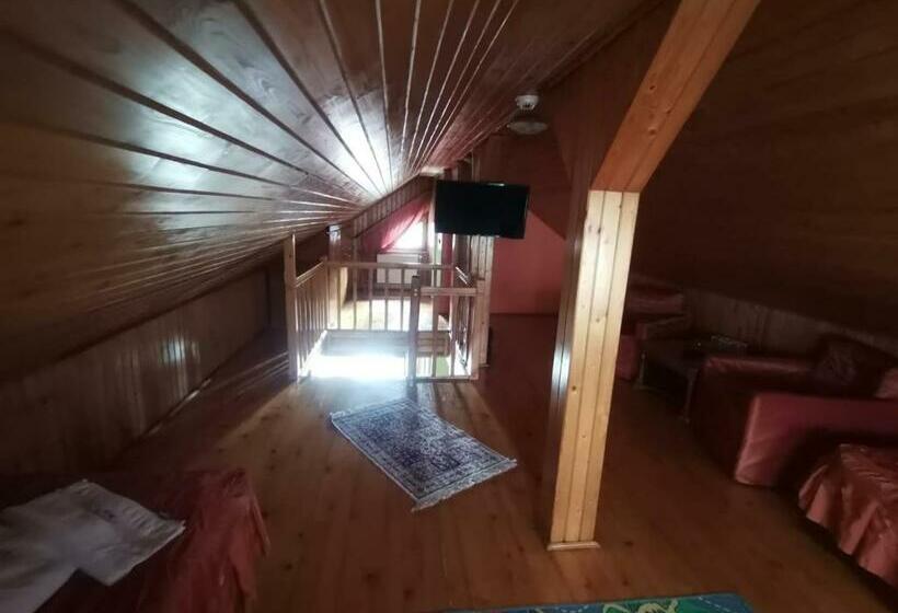 Люкс Дюплекс, Pensiunea Dapa