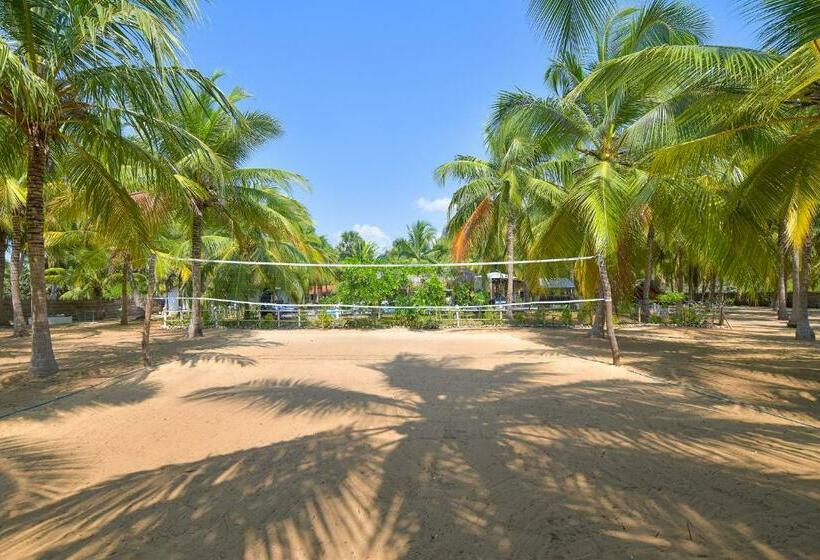 اتاق استاندارد با چشم‌انداز استخر, De Silva Palm Resort