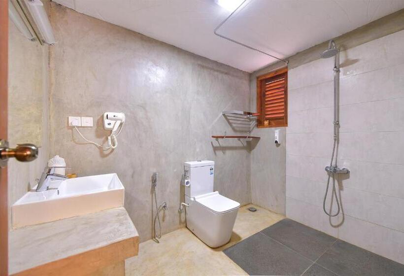 اتاق استاندارد, De Silva Palm Resort