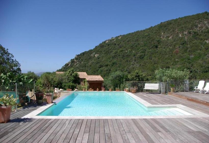 Номер Стандарт Вид на Море, Chambres D'hôtes Littariccia