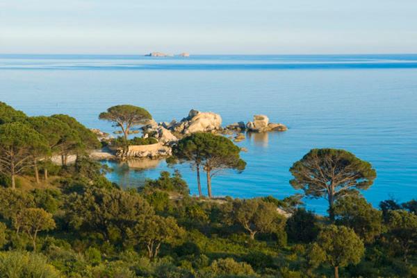 Вилла 1 Спальня Вид на Море, Chambres D'hôtes Littariccia