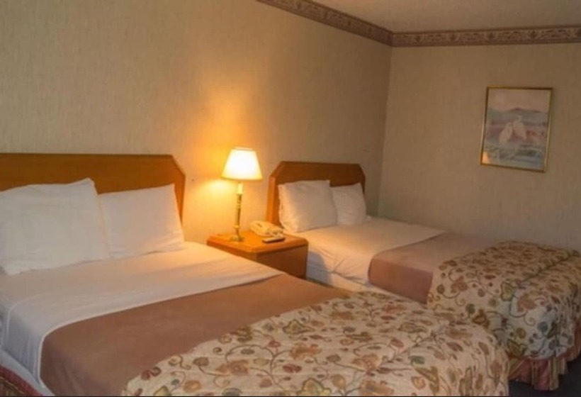 Номер Стандарт 2 Двуспальные Кровати, Executive Inn Hotel & Conference Centre
