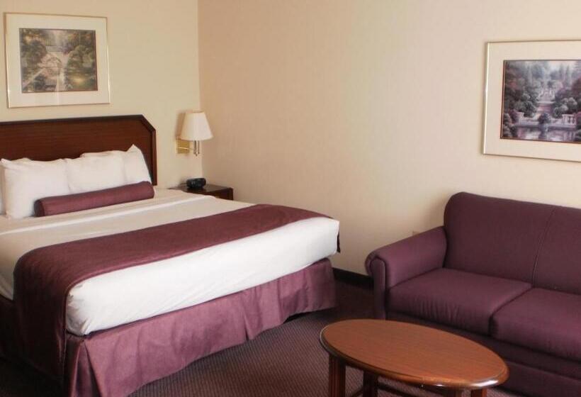Chambre Standard Lit King Size, Ashmore Inn And Suites Amarillo