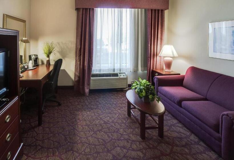Chambre Standard Lit King Size, Ashmore Inn And Suites Amarillo