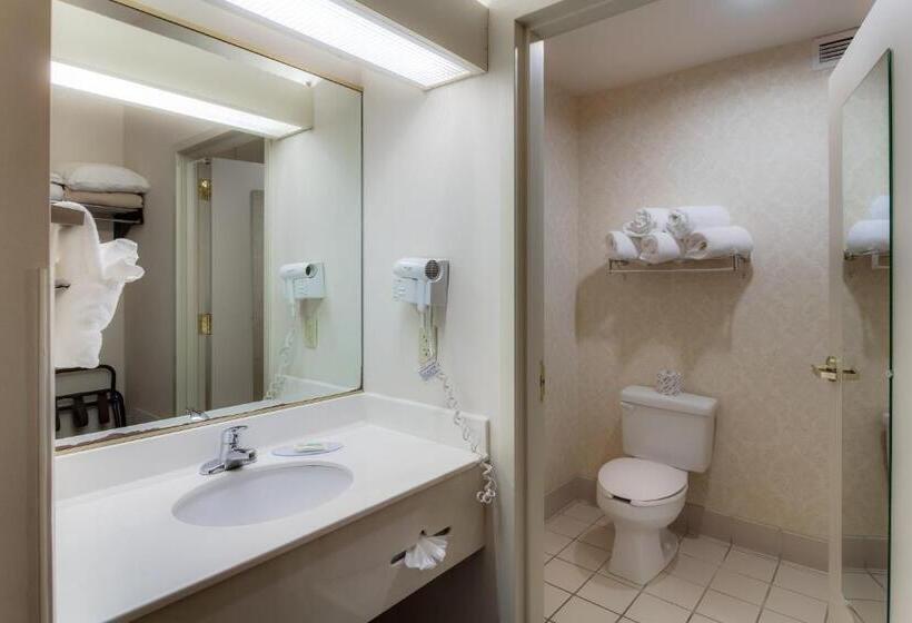 Chambre Standard Lit King Size, Ashmore Inn And Suites Amarillo