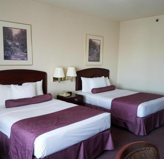Studio Deluxe, Ashmore Inn And Suites Amarillo