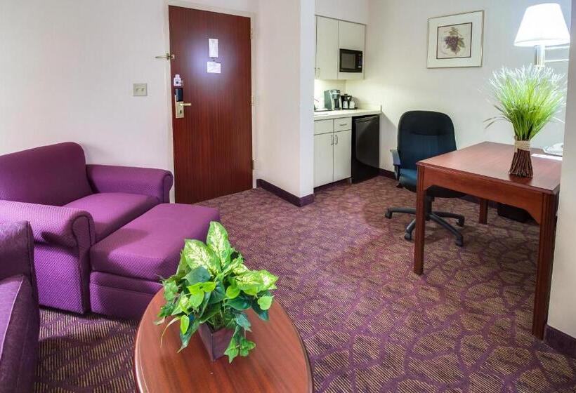 Studio Standard Lit King Size, Ashmore Inn And Suites Amarillo