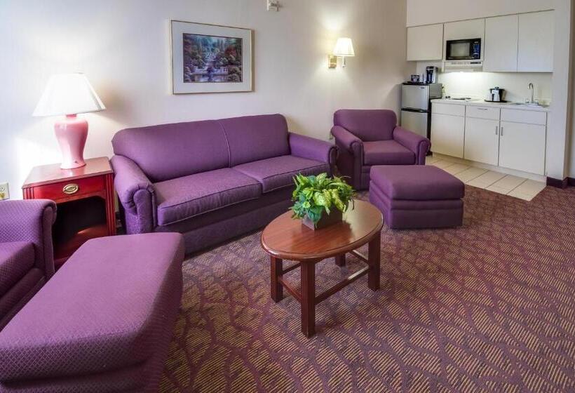 Suite Lit King, Ashmore Inn And Suites Amarillo