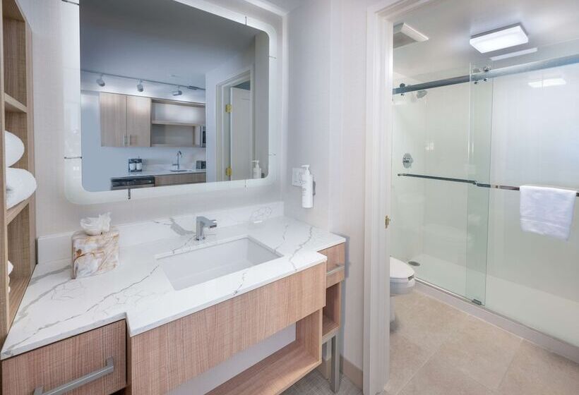 Люкс, Homewood Suites By Hilton Atlanta Buckhead Pharr Road