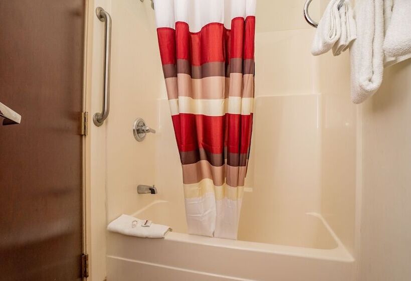 Номер Deluxe, Red Roof Inn & Suites Indianapolis Airport