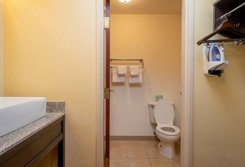 Номер Deluxe, Red Roof Inn & Suites Indianapolis Airport