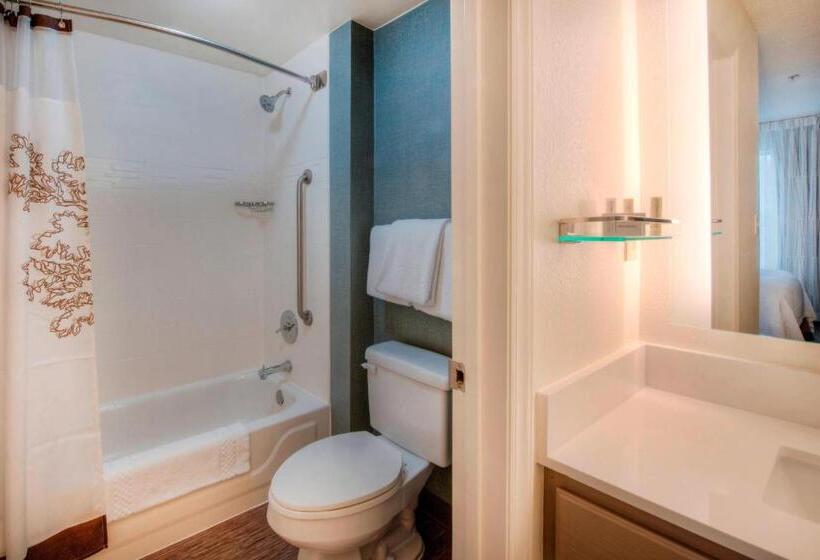 سوئیت 2 خوابه, Residence Inn By Marriott Wilmington Landfall