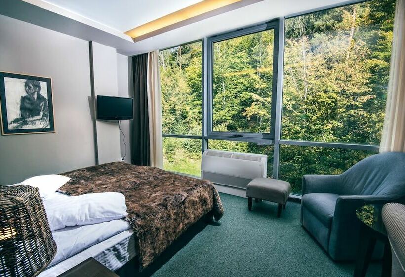اتاق استاندارد با تخت دوبل, Balvanyos Resort