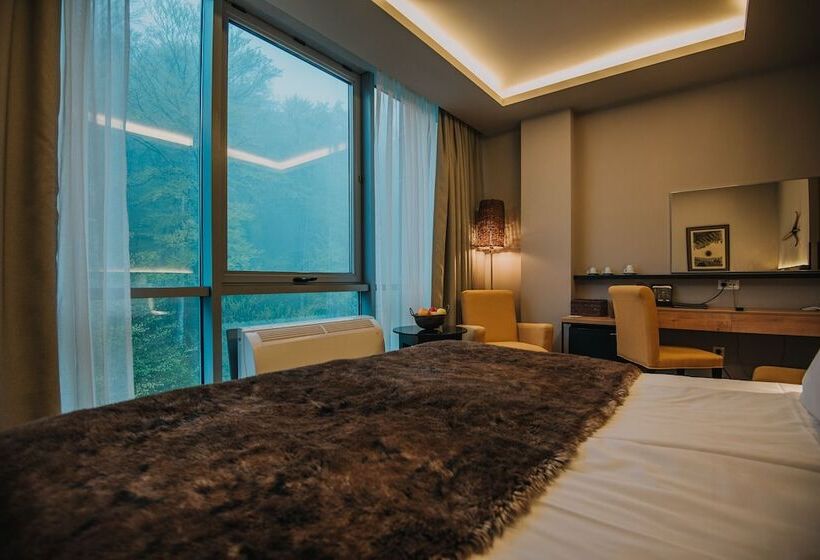 اتاق استاندارد با تخت دوبل, Balvanyos Resort