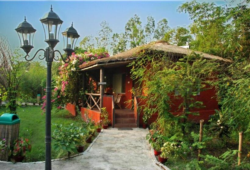 Номер Стандарт, Sunderban Tiger Camp
