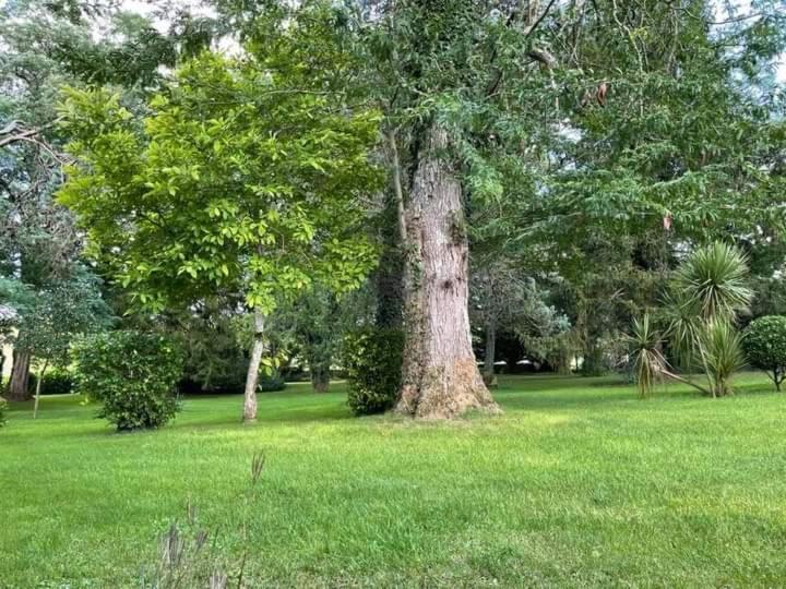 Дом 2 Спальни, Les Demeures De La Laigne