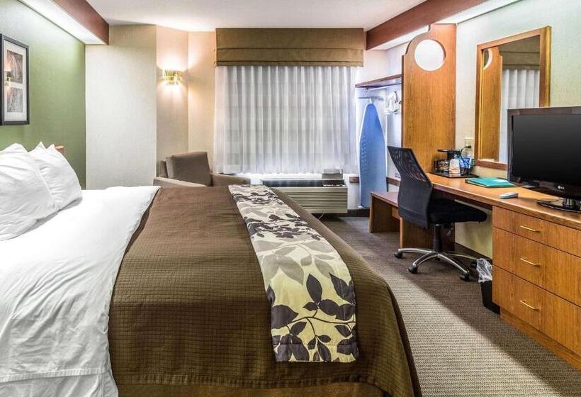 스탠다드 룸 킹사이즈 침대, Sleep Inn & Suites Bay View Acme   Traverse City
