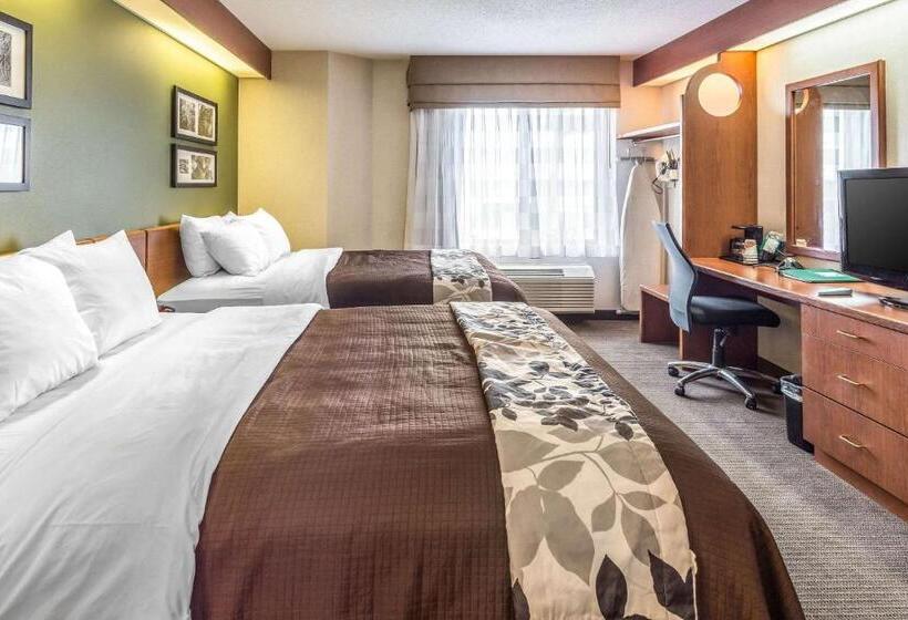 스탠다드 룸, Sleep Inn & Suites Bay View Acme   Traverse City