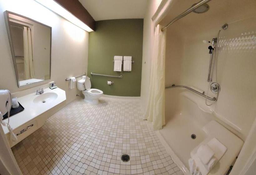 장애인을 위한 스탠다드 룸, Sleep Inn & Suites Bay View Acme   Traverse City