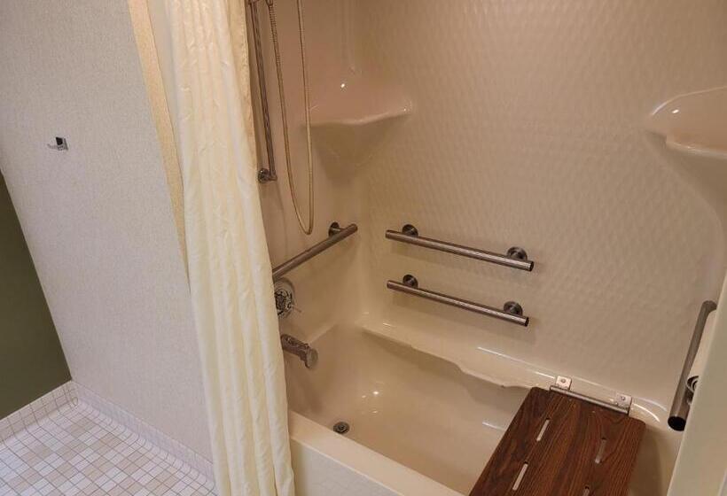 장애인을 위한 스탠다드 룸, Sleep Inn & Suites Bay View Acme   Traverse City