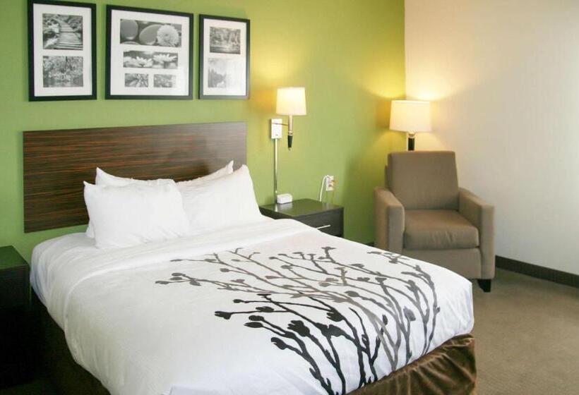 스탠다드 룸 킹사이즈 침대, Sleep Inn & Suites Stony Creek  Petersburg South