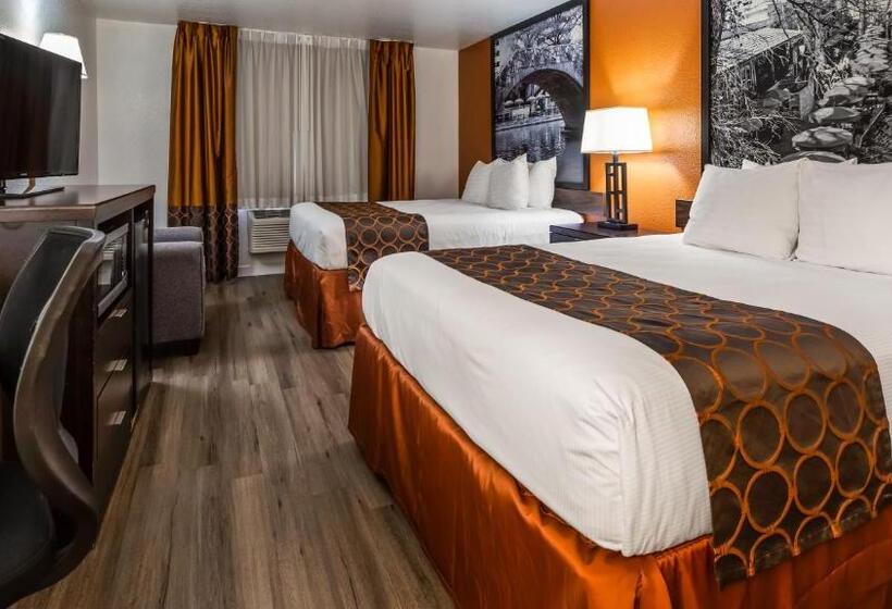 Habitació Estàndard, Surestay Plus Hotel By Best Western San Antonio North 281 N