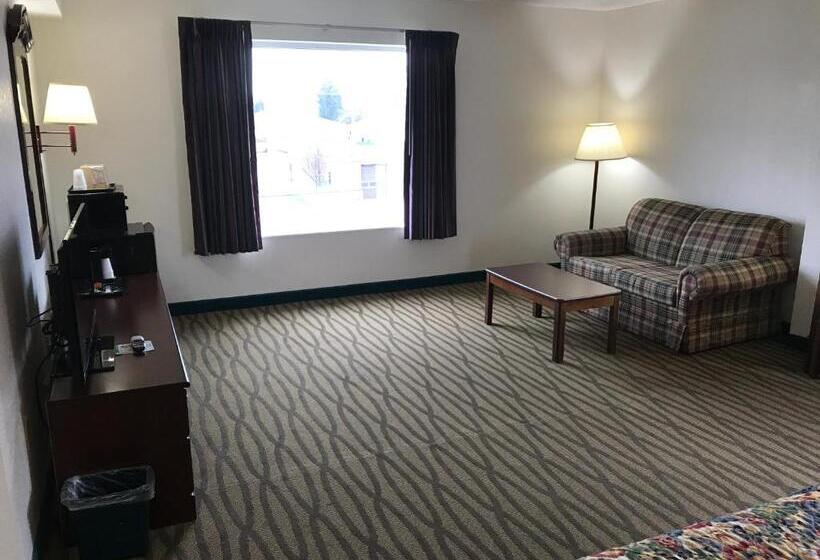 Стандартный Номер Кровать Кинг, President Inn & Suites