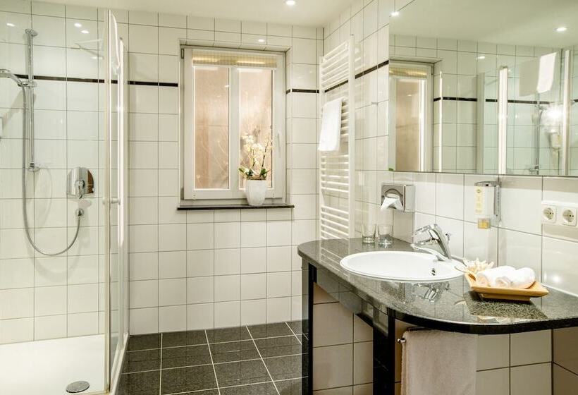 Номер Комфорт, Seehotel Niedernberg   Das Dorf Am See