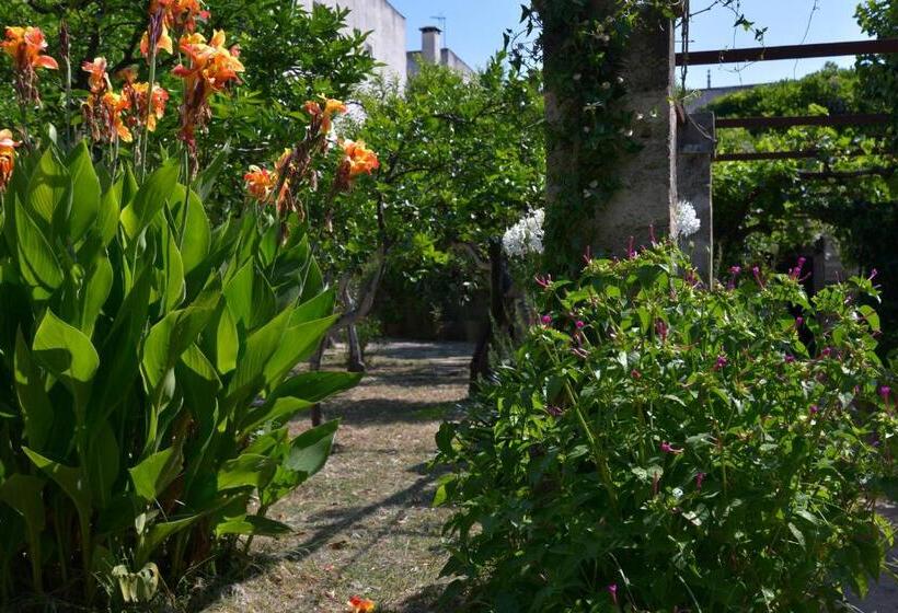 Номер Стандарт, Casale Del Forno
