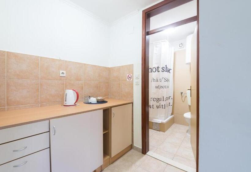 غرفة قياسية مطلة على الجبل, Aparthotel Roccia