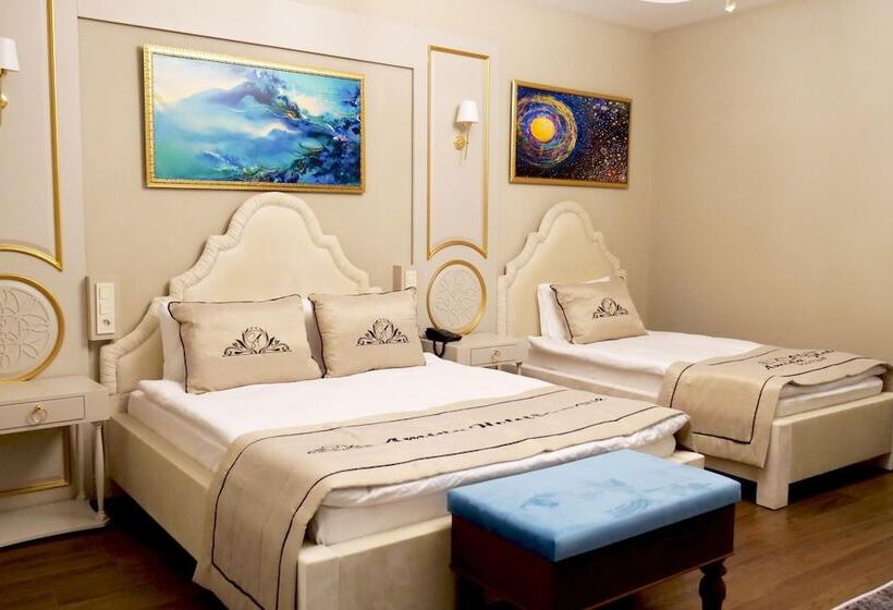 اتاق استاندارد, Amida Boutique Otel