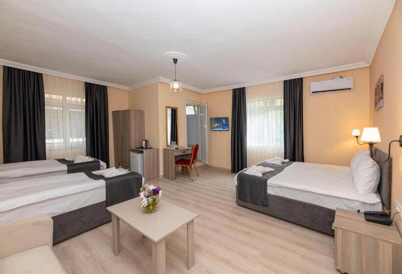 اتاق استاندارد, Golden Flower Pansiyon