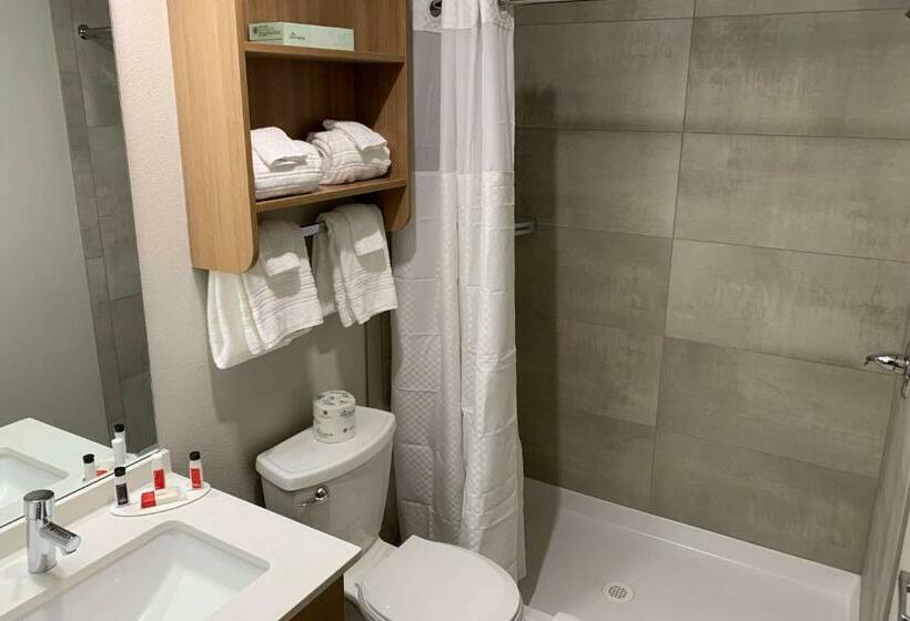 سوییت, Microtel Inn & Suites By Wyndham Georgetown Lake