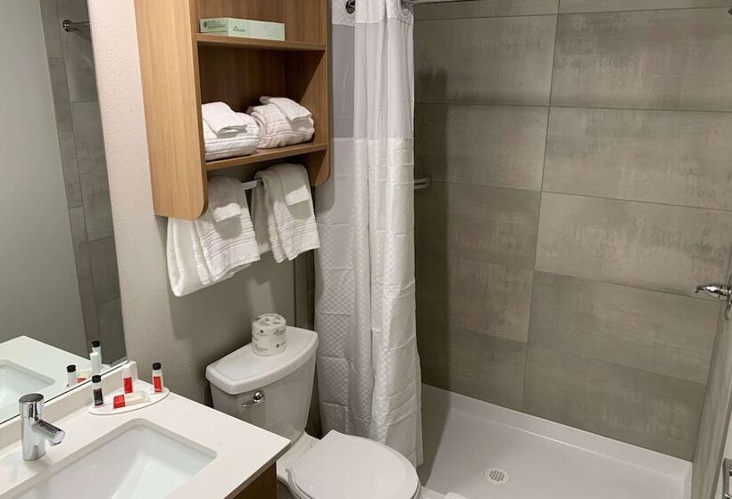 سوییت, Microtel Inn & Suites By Wyndham Georgetown Lake