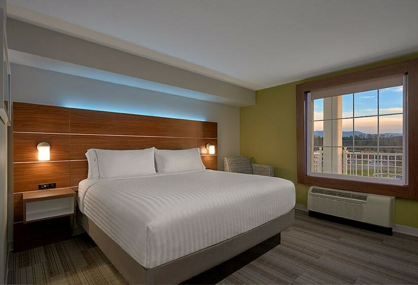 带2个双人床的标准工作室, Holiday Inn Express And Suites Pigeon Forge Sevierville By Ihg