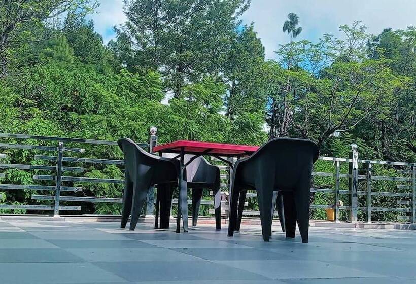 패밀리 룸, Sunny Pines Resort